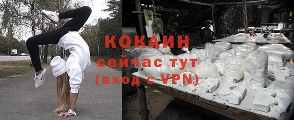 прущие грибы Алексин
