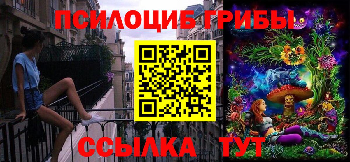 Галлюциногенные грибы Psilocybe  Вход с VPN  Югорск 