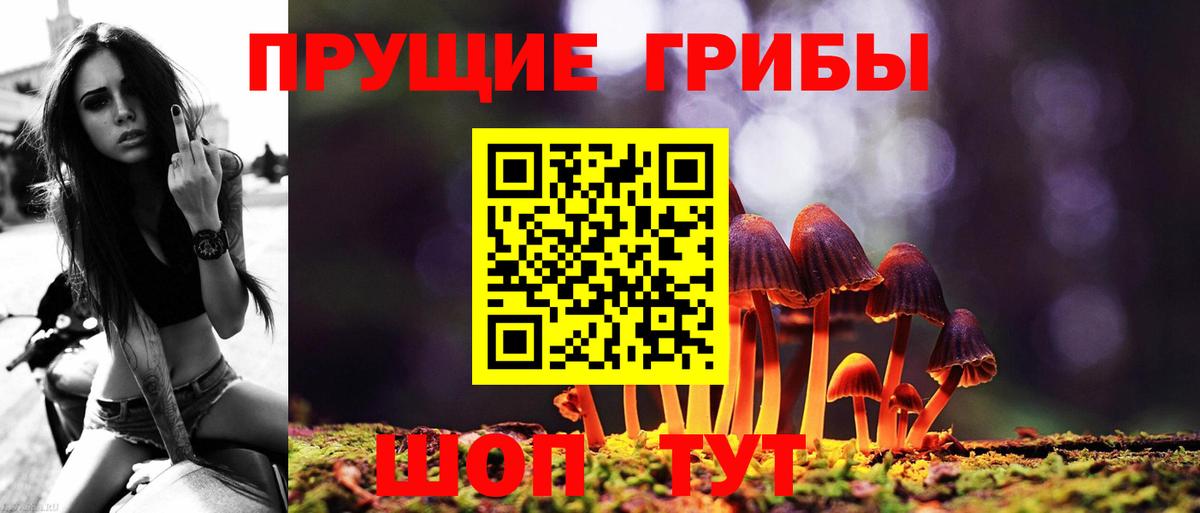 Псилоцибиновые грибы GOLDEN TEACHER Югорск
